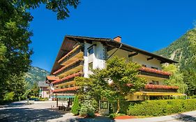 Hotel Carinthia  4*